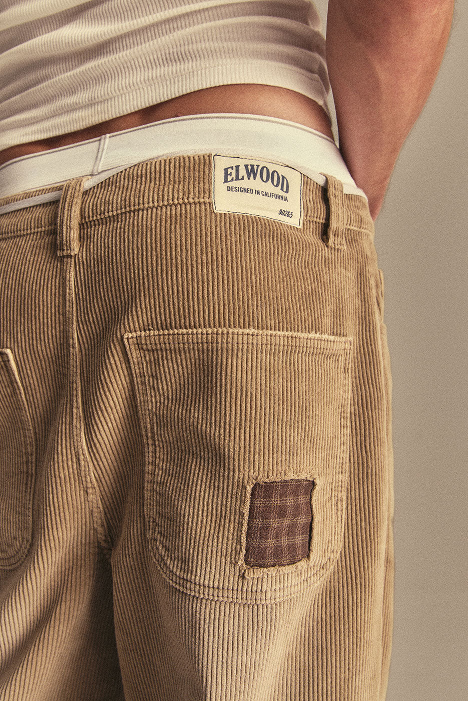 CORDUROY CARPENTER PANT